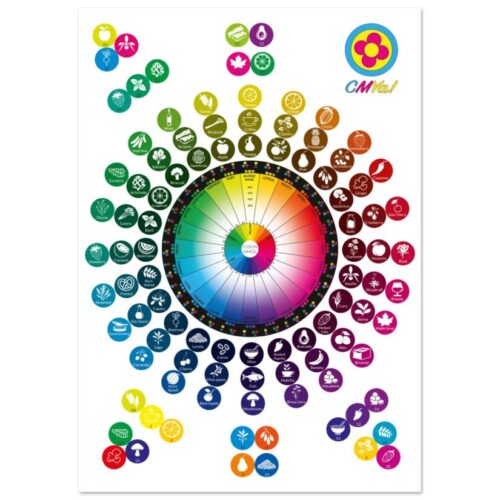 416fdc5b-2b72-4293-9feb-e061eb89e289